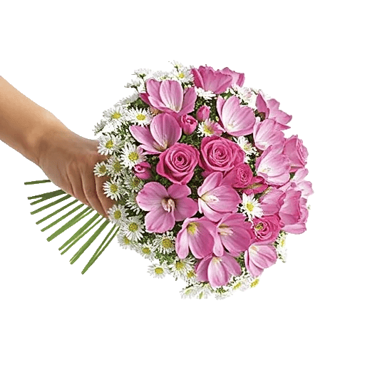 Delicate Petal Cascade