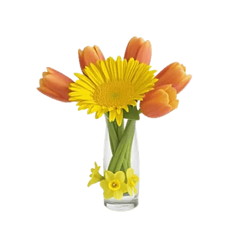 Petal Radiance Bliss