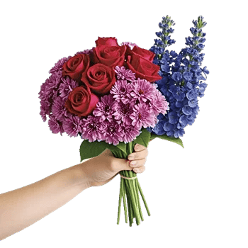 Crimson Rose Elegance