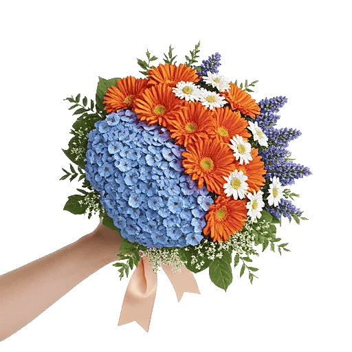 Blossom Petal Serenity