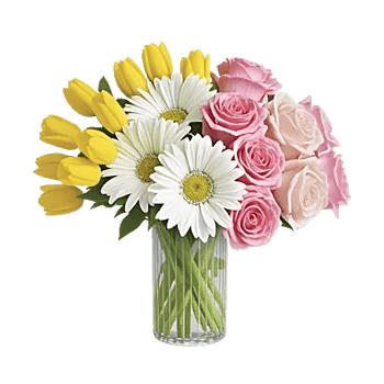 Radiant Petal Display