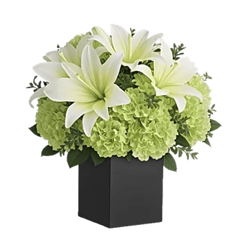 Ivory Blossom Radiance