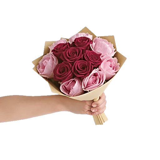 Peony Petal Harmony