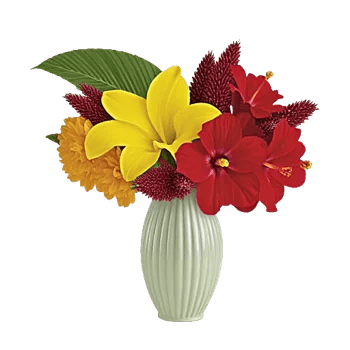 Golden Petal Harmony