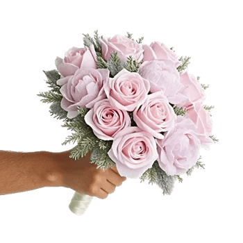 Pastel Pink Roses