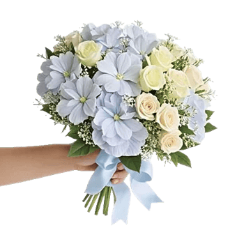 Serene Petal Harmony