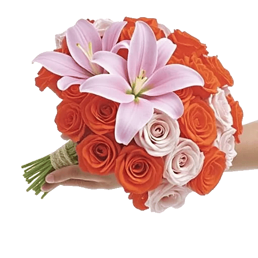 Blushing Rose Symphony