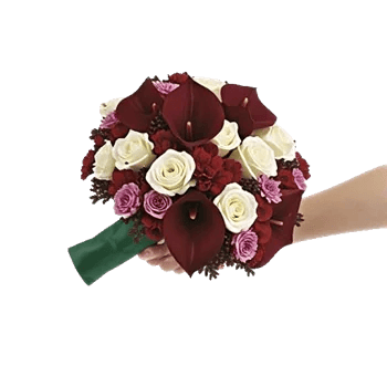 Elegant Calla Lilies