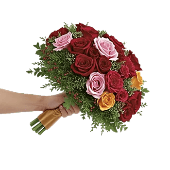 Blushing Rose Symphony