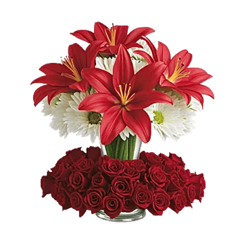 Crimson Lily Glow