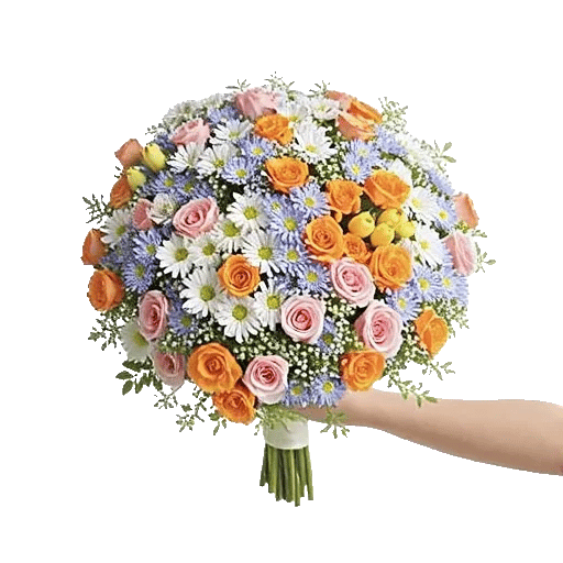 Blossom Grace Spread