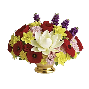 Blossom Harmony Display