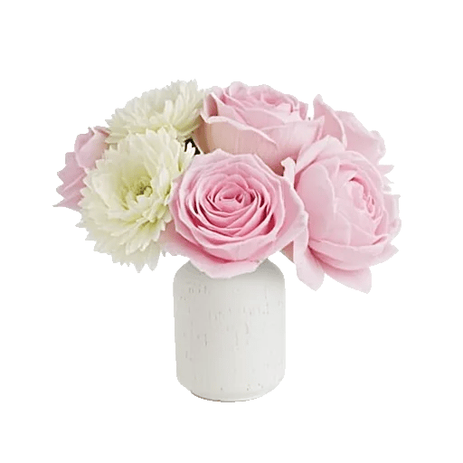 Pink Pastel Roses