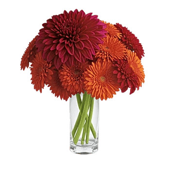 Crimson Blossom Harmony