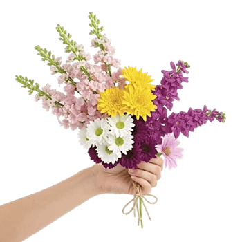 Blossom Harmony Display