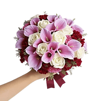 Elegant Calla Lilies