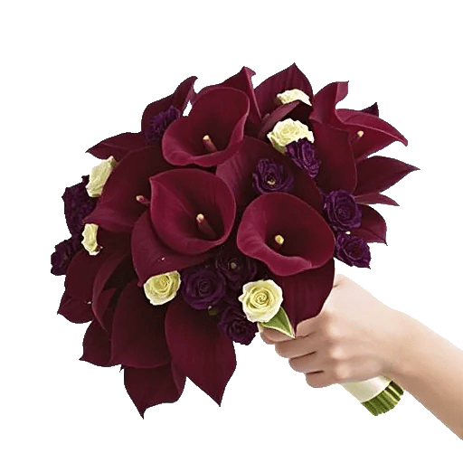 Elegant Calla Lilies