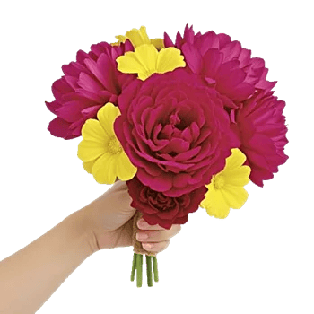 Peony Petal Harmony