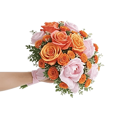 Pastel Pink Roses