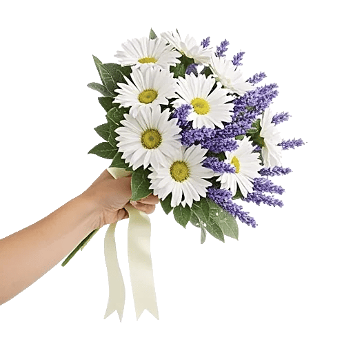 Delicate Petal Cascade