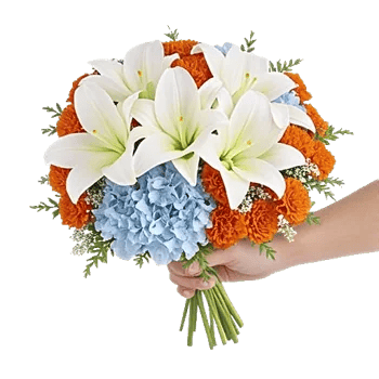 Serene Petal Harmony