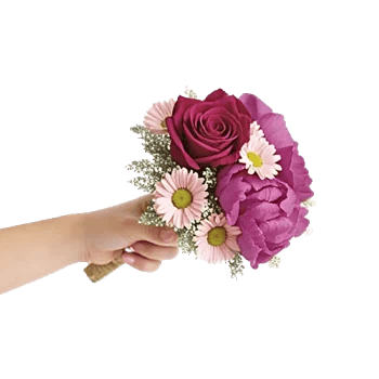 Pastel Pink Roses
