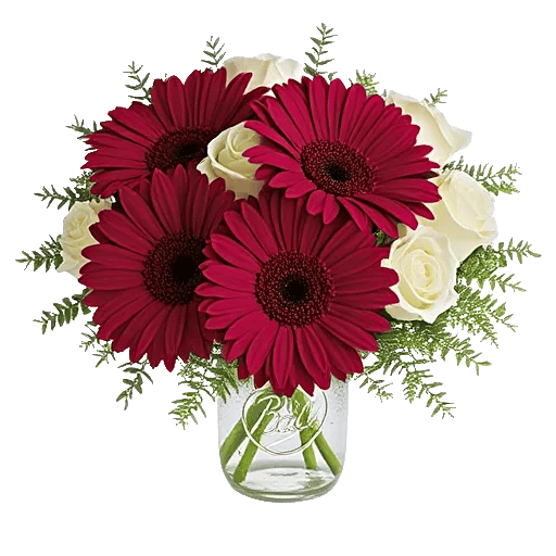 Petal Radiance Bliss