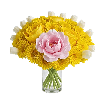 Petal Radiance Bliss