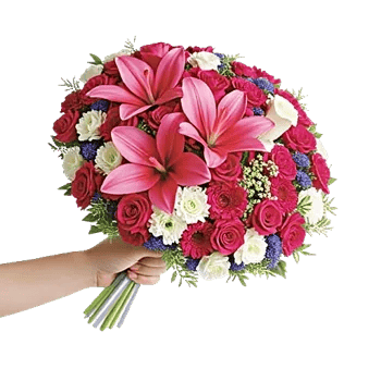 Blushing Rose Symphony