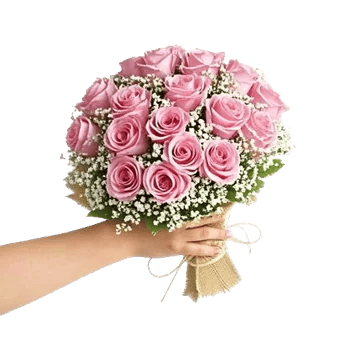 Blushing Rose Symphony