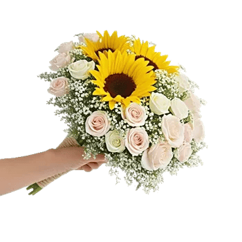 Twinkling Sunflower Dance
