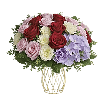 Petal Radiance Bliss