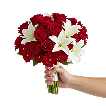 Crimson Rose Elegance