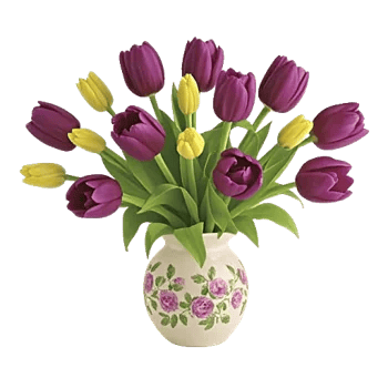 Velvet Tulip Display