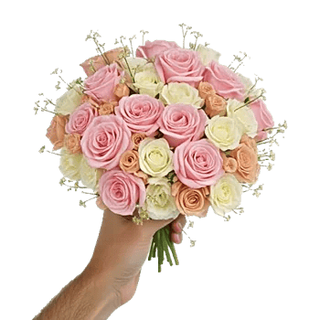 Soft Petal Embrace