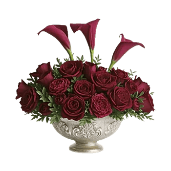 Elegant Calla Lilies