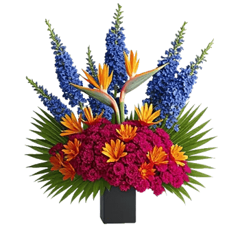 Modern White Orchids