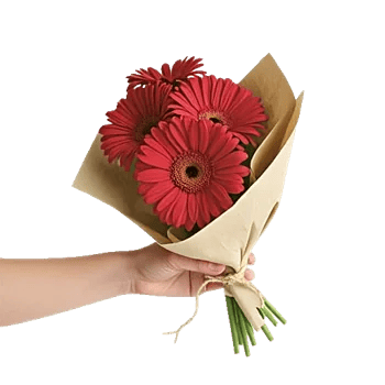 Petal Harmony Bliss