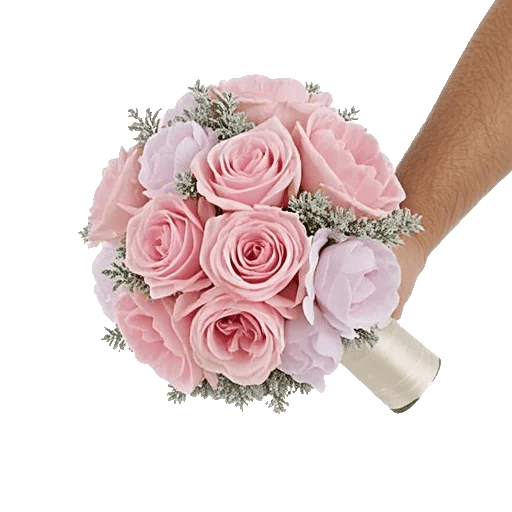 Pastel Pink Roses