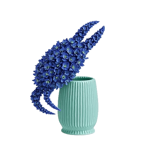 Sapphire Bloom Whisper