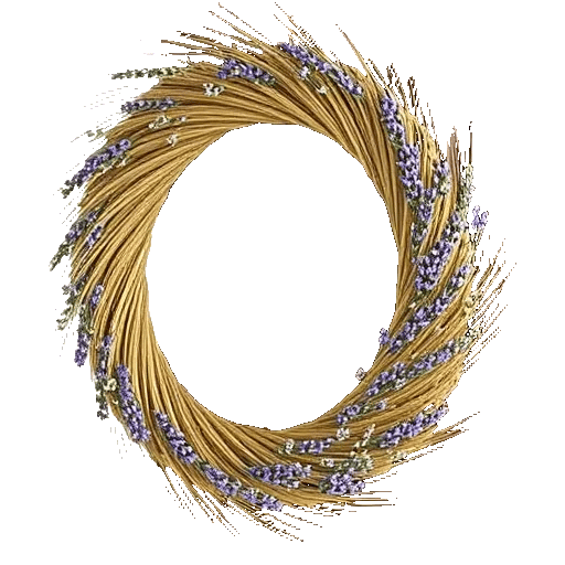 Lavender Bloom Grace