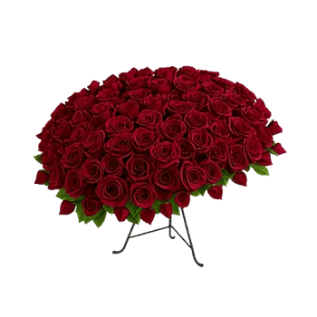 Crimson Rose Elegance