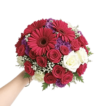 Petal Harmony Bliss