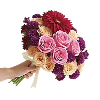 Blushing Rose Symphony