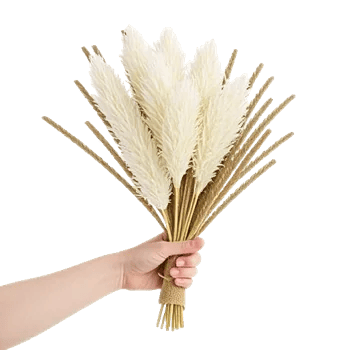 Delicate Petal Cascade