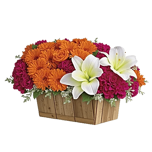 Blooming Orchard Splendor