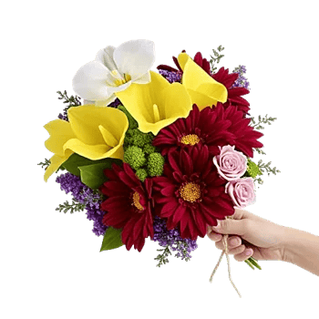 Modern White Orchids