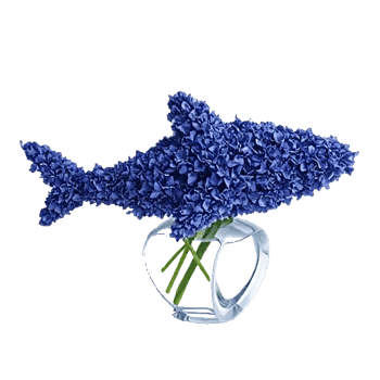 Sapphire Bloom Whisper