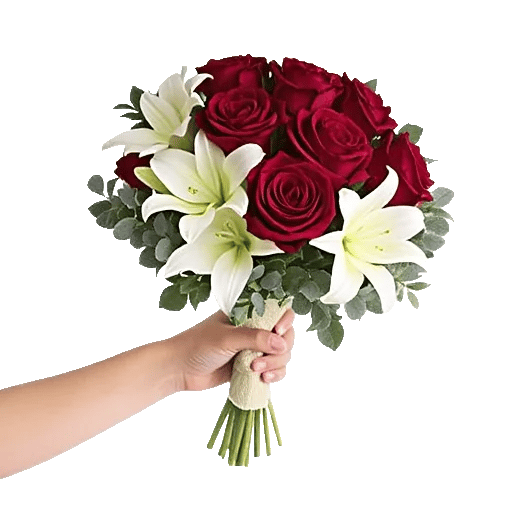 Crimson Rose Elegance
