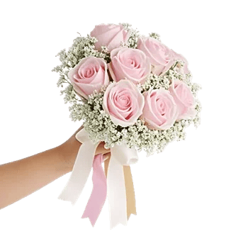 Pastel Pink Roses